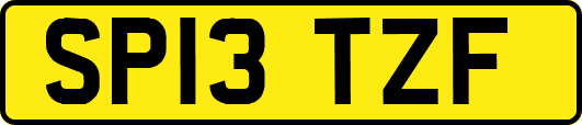 SP13TZF