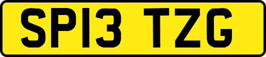 SP13TZG