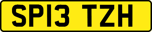 SP13TZH