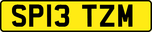 SP13TZM