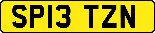 SP13TZN