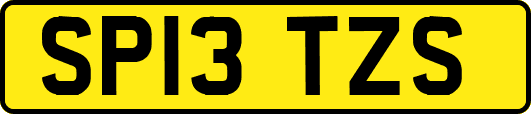 SP13TZS