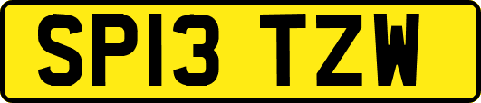SP13TZW