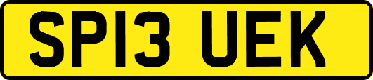 SP13UEK