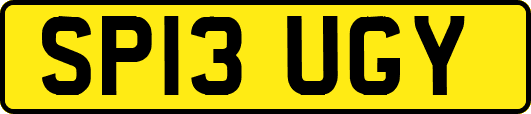 SP13UGY