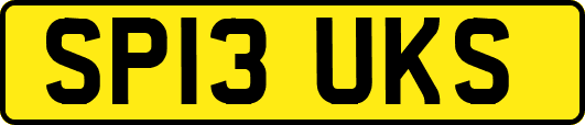SP13UKS