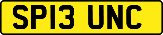 SP13UNC