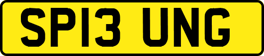 SP13UNG