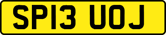 SP13UOJ