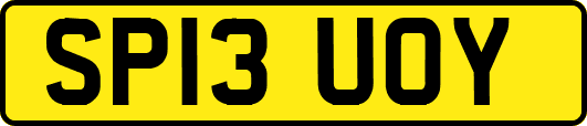 SP13UOY