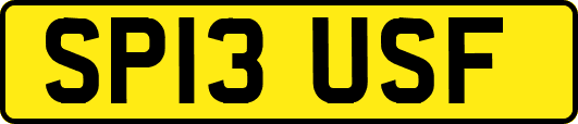 SP13USF