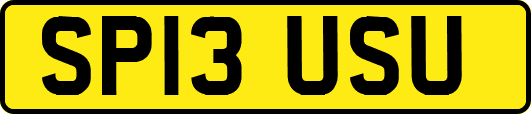 SP13USU