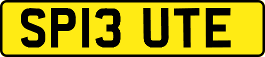SP13UTE