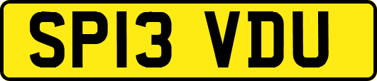 SP13VDU