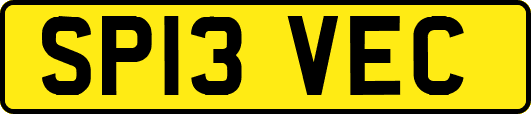 SP13VEC