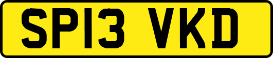 SP13VKD