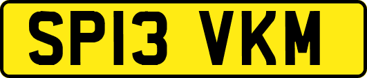 SP13VKM