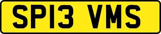 SP13VMS