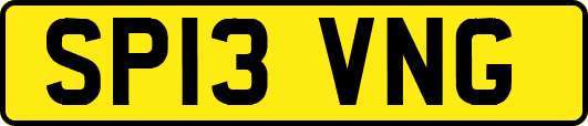 SP13VNG