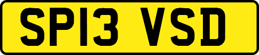 SP13VSD