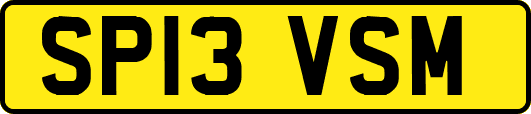 SP13VSM