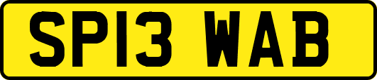 SP13WAB