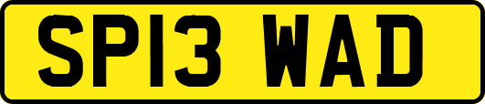 SP13WAD