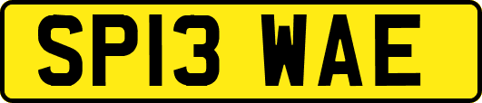 SP13WAE
