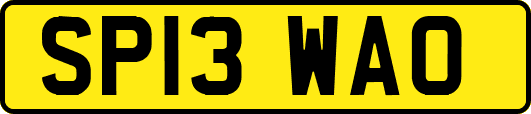 SP13WAO