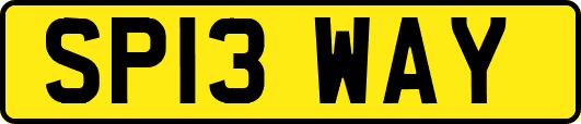SP13WAY