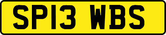 SP13WBS