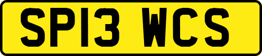 SP13WCS