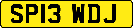 SP13WDJ