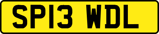 SP13WDL