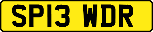 SP13WDR