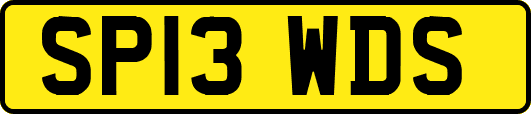 SP13WDS