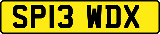SP13WDX