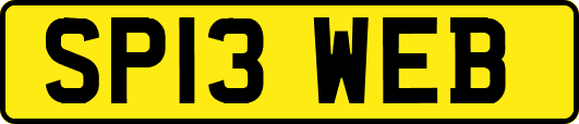 SP13WEB