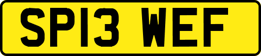 SP13WEF