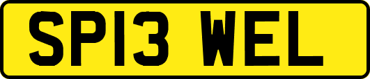 SP13WEL