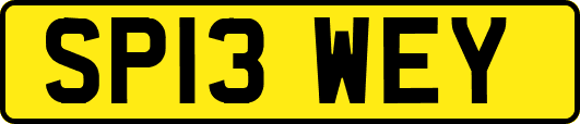 SP13WEY