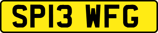 SP13WFG