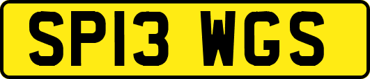 SP13WGS
