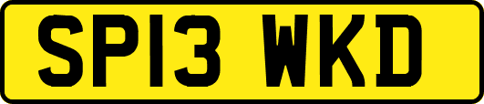 SP13WKD