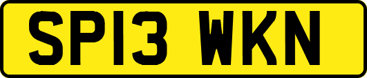 SP13WKN