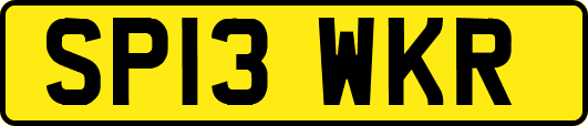 SP13WKR