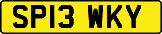 SP13WKY