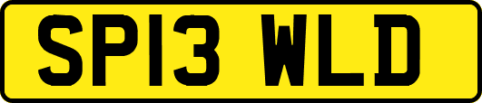 SP13WLD
