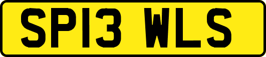SP13WLS