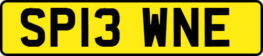 SP13WNE